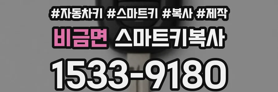 비금면 스마트키복사