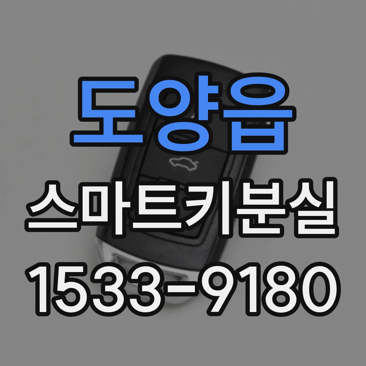 도양읍 스마트키분실