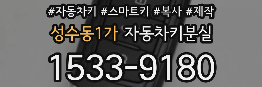 성수동1가 자동차키분실