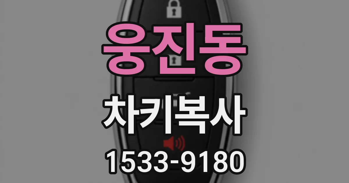 웅진동 차키복사