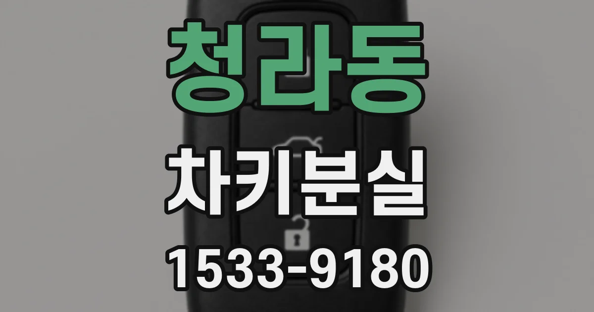 청라동 차키분실