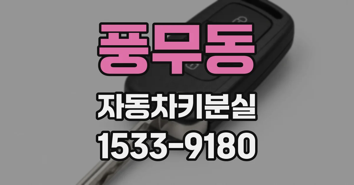 풍무동 자동차키분실