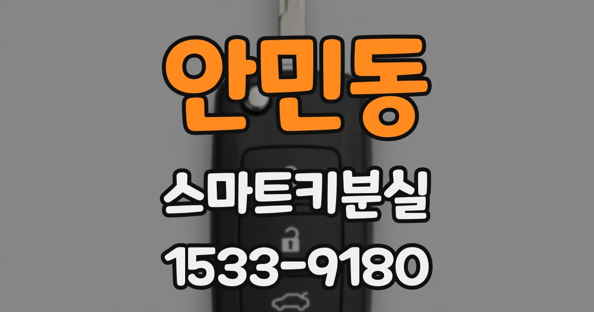 안민동 스마트키분실