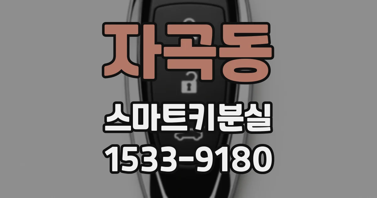 자곡동 스마트키분실