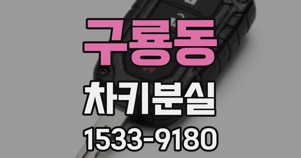 구룡동 차키분실