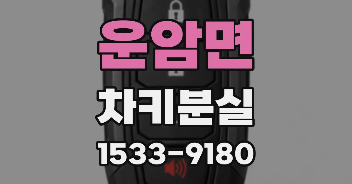 운암면 차키분실
