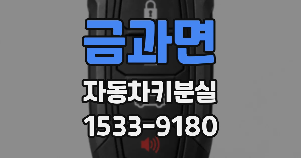 금과면 자동차키분실