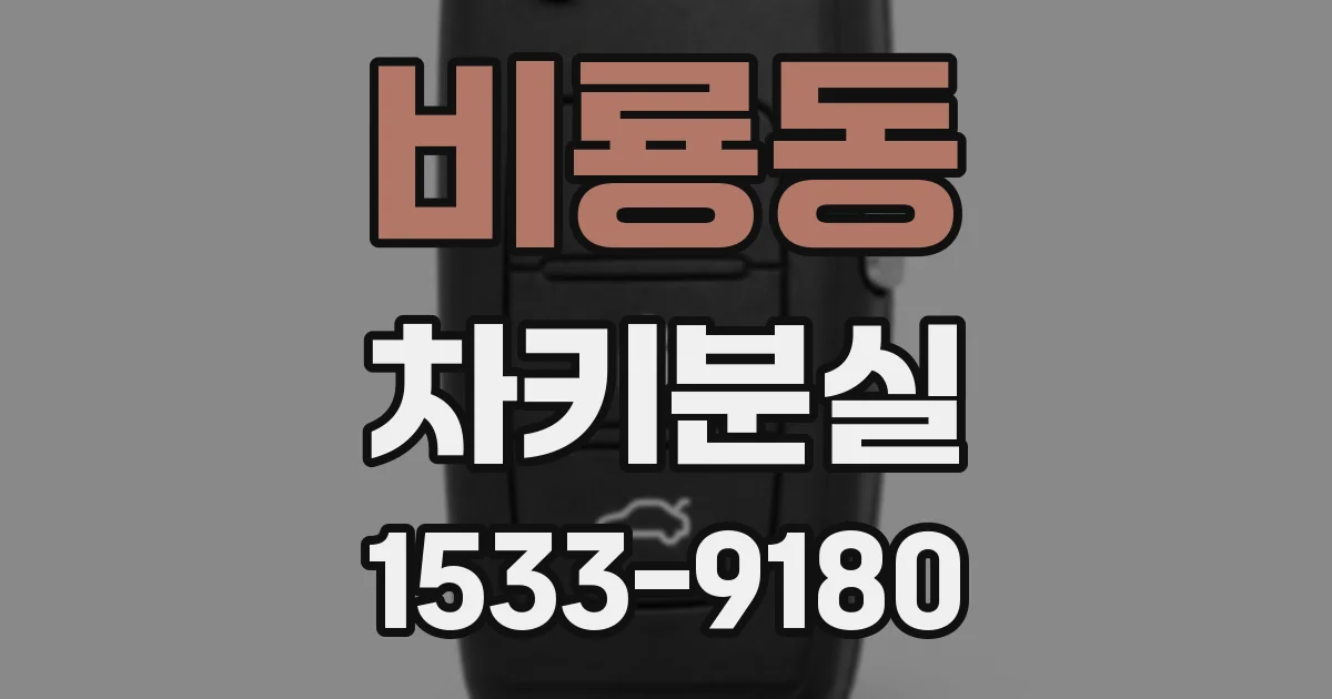 비룡동 차키분실