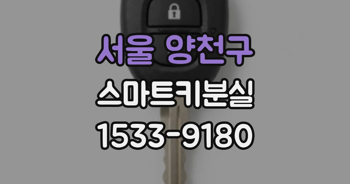 서울 양천구 스마트키분실