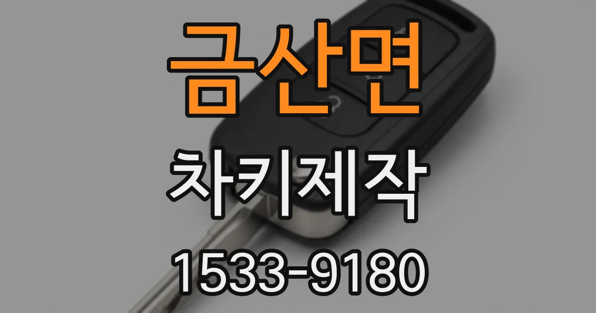 금산면 차키제작