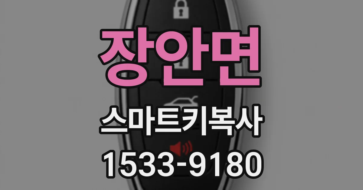 장안면 스마트키복사