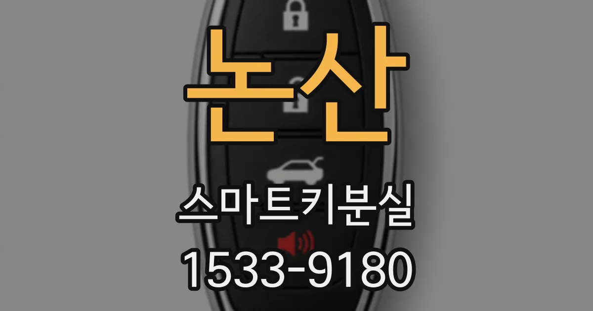 논산 스마트키분실