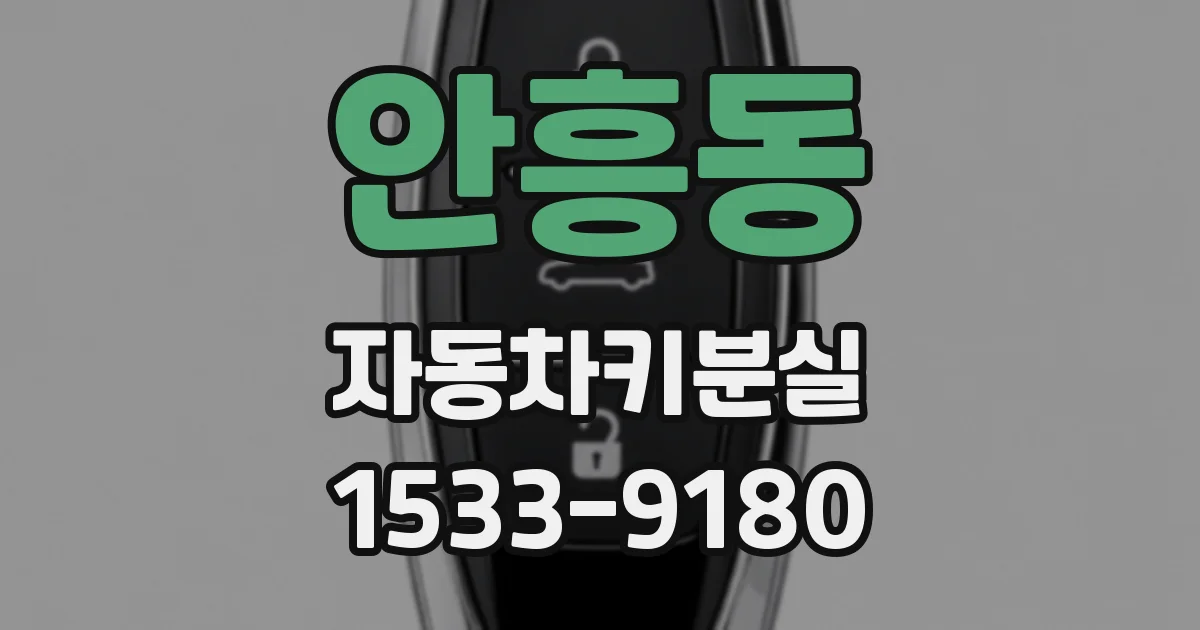 안흥동 자동차키분실