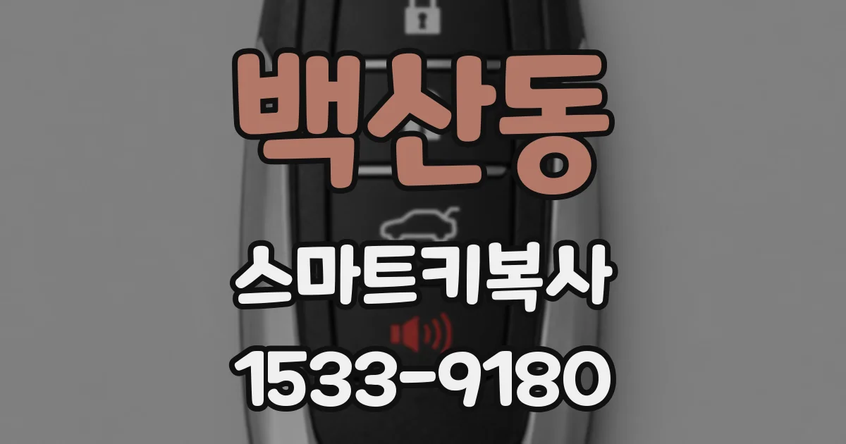 백산동 스마트키복사