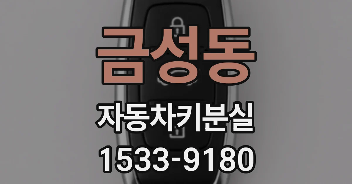 금성동 자동차키분실