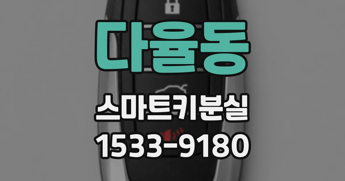다율동 스마트키분실