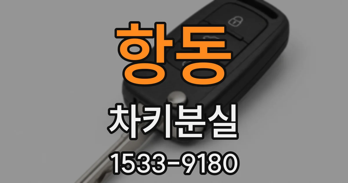 항동 차키분실