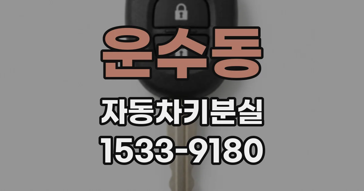 운수동 자동차키분실