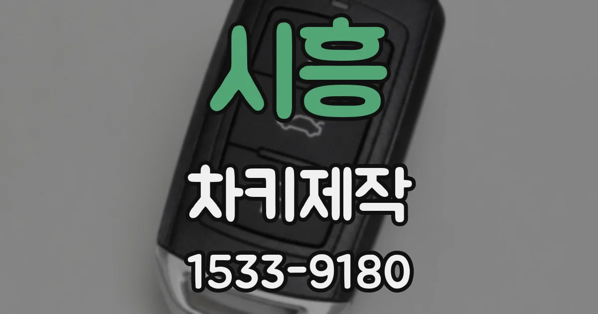 시흥 차키제작