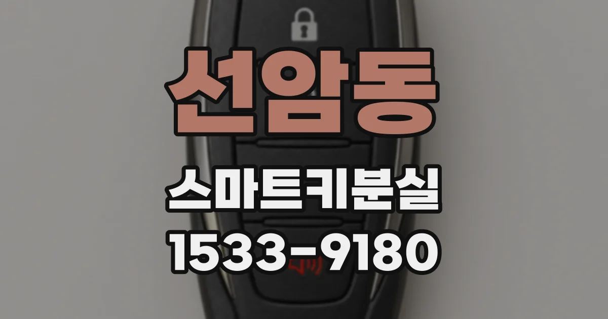 선암동 스마트키분실