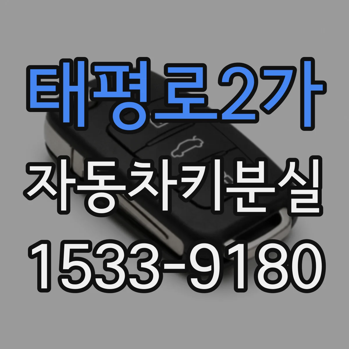 태평로2가 자동차키분실