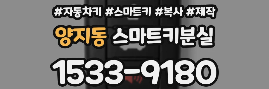 양지동 스마트키분실