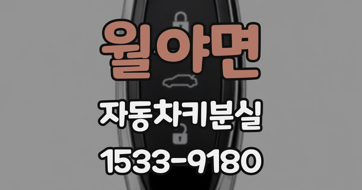 월야면 자동차키분실