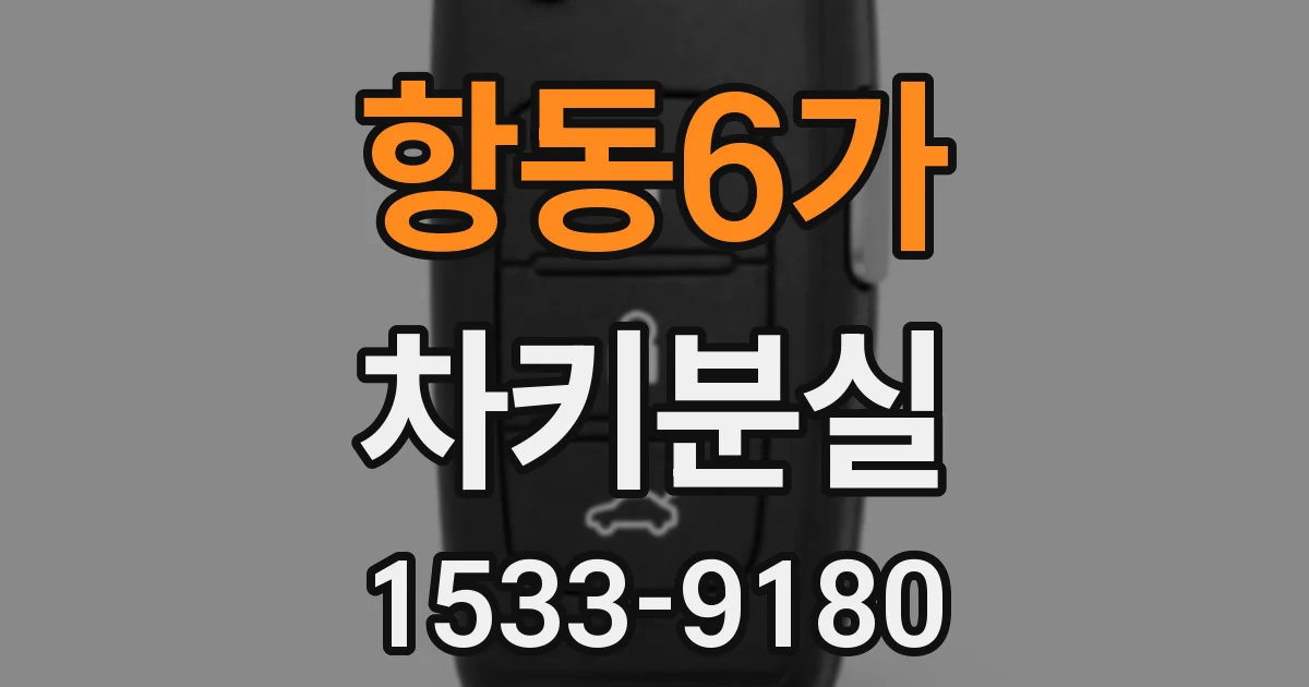 항동6가 차키분실