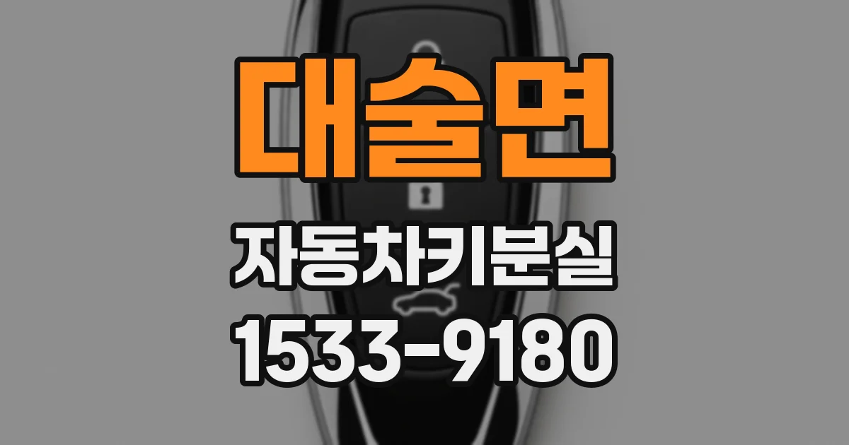 대술면 자동차키분실