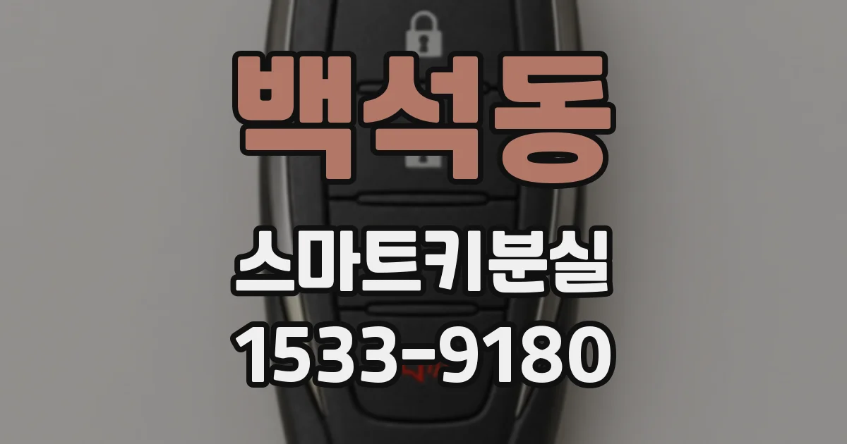 백석동 스마트키분실