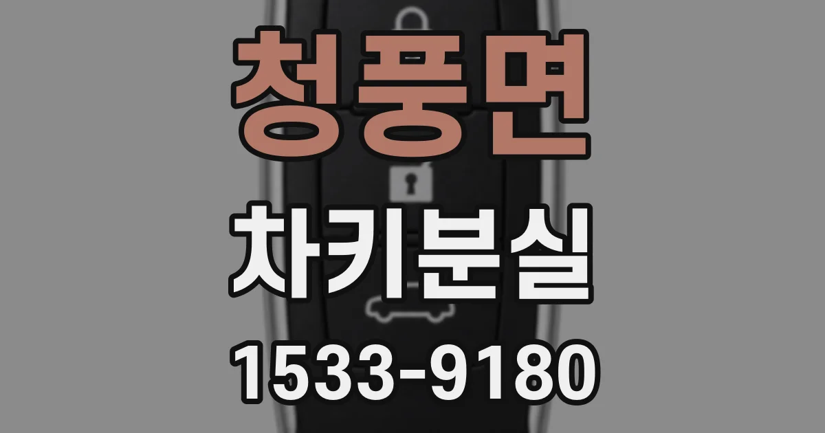 청풍면 차키분실