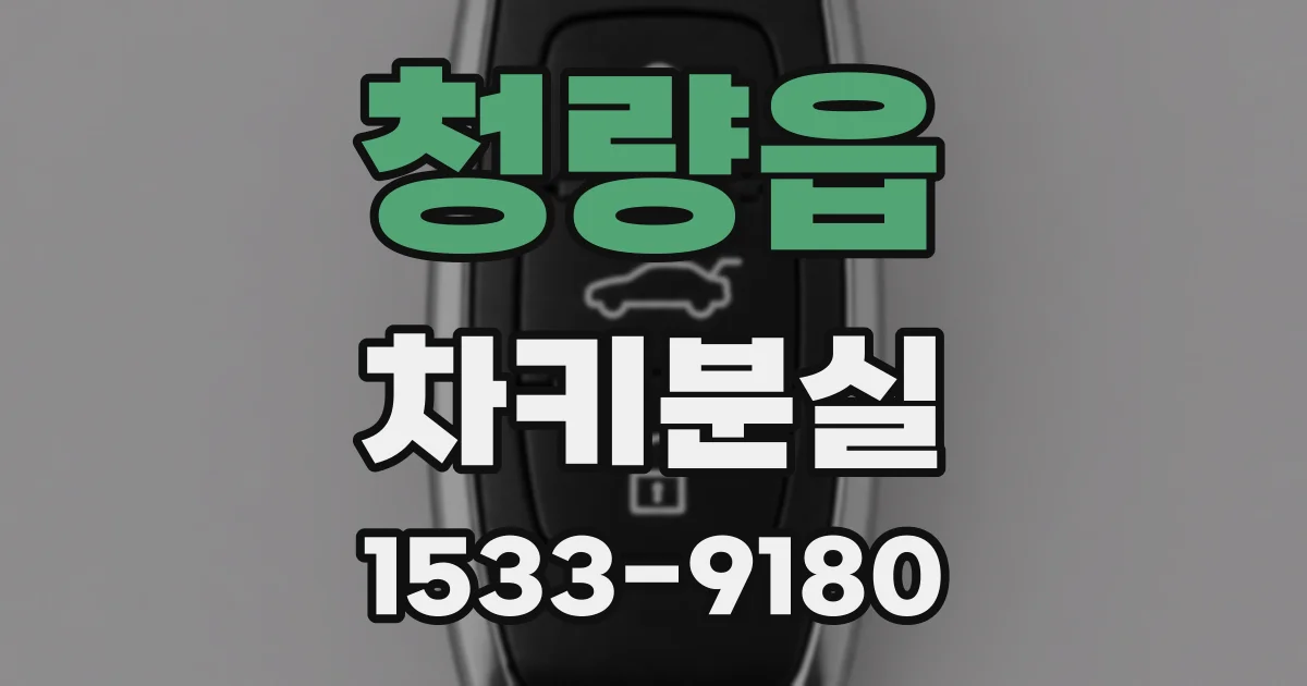 청량읍 차키분실
