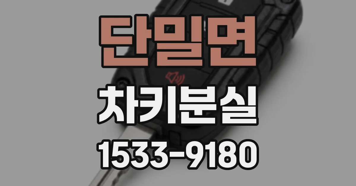 단밀면 차키분실