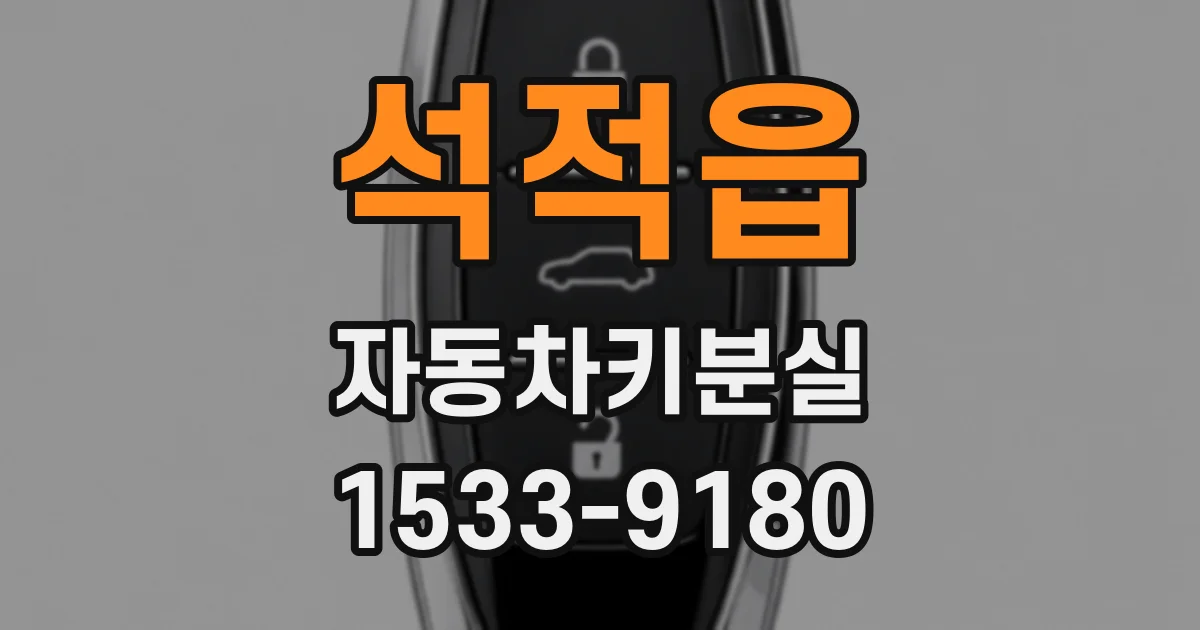 석적읍 자동차키분실