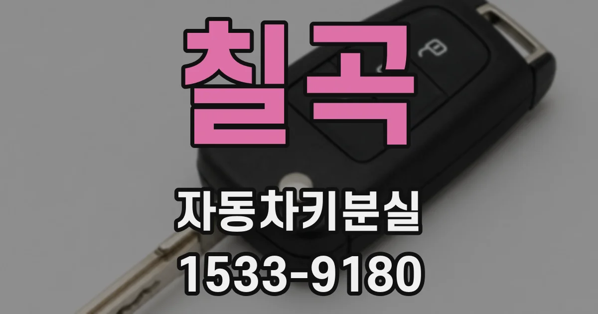 칠곡 자동차키분실