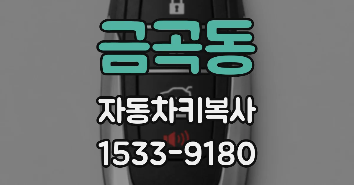 금곡동 자동차키복사