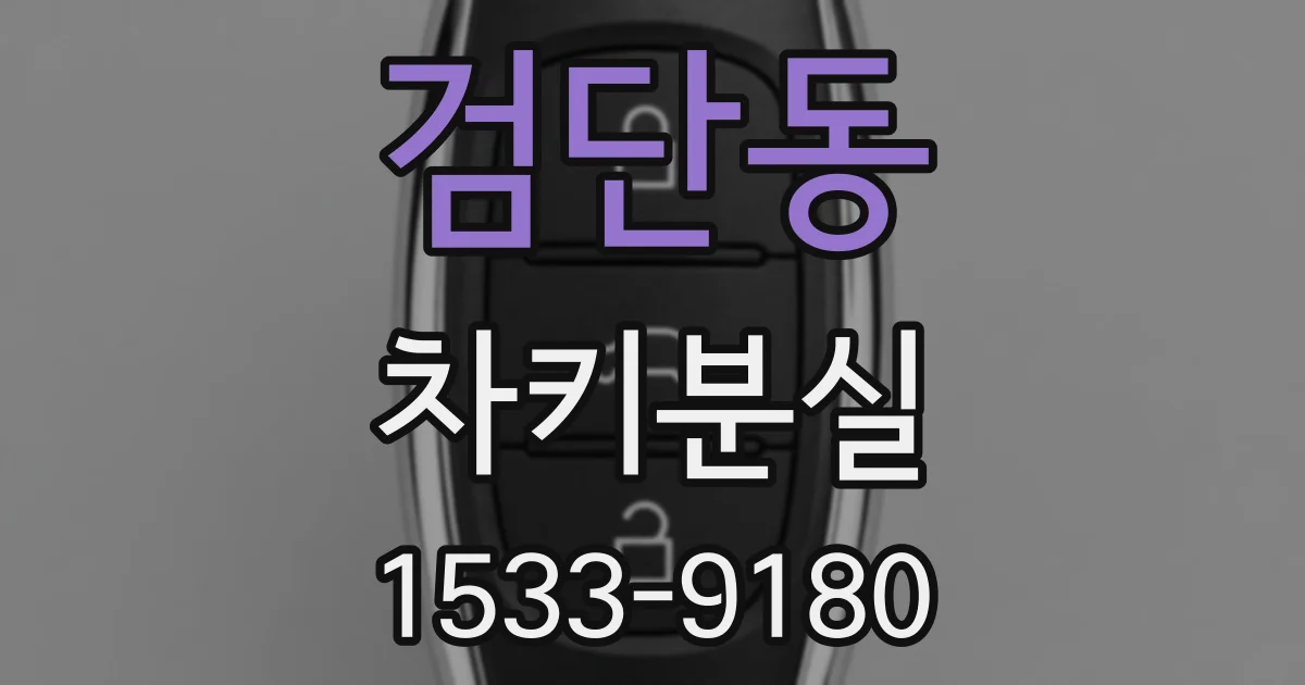 검단동 차키분실
