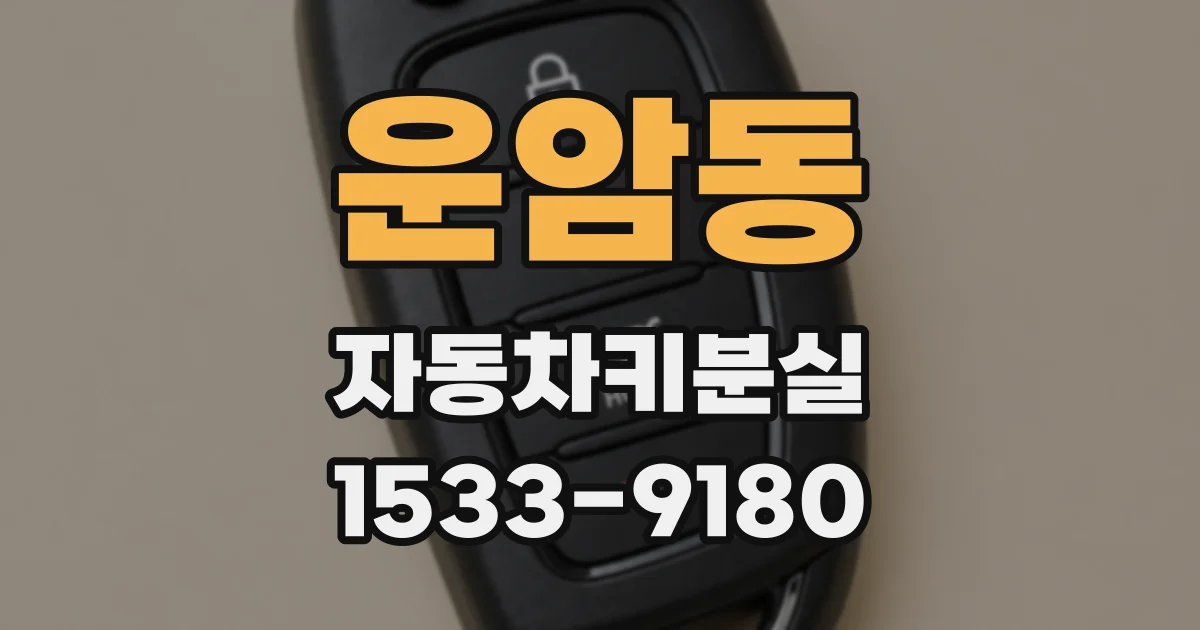 운암동 자동차키분실
