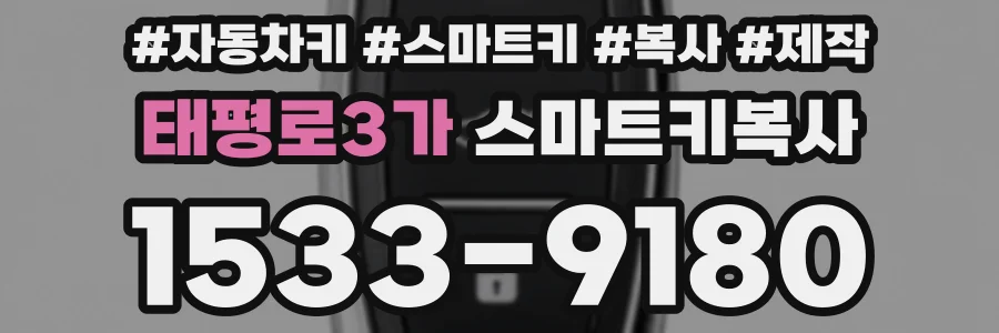 태평로3가 스마트키복사