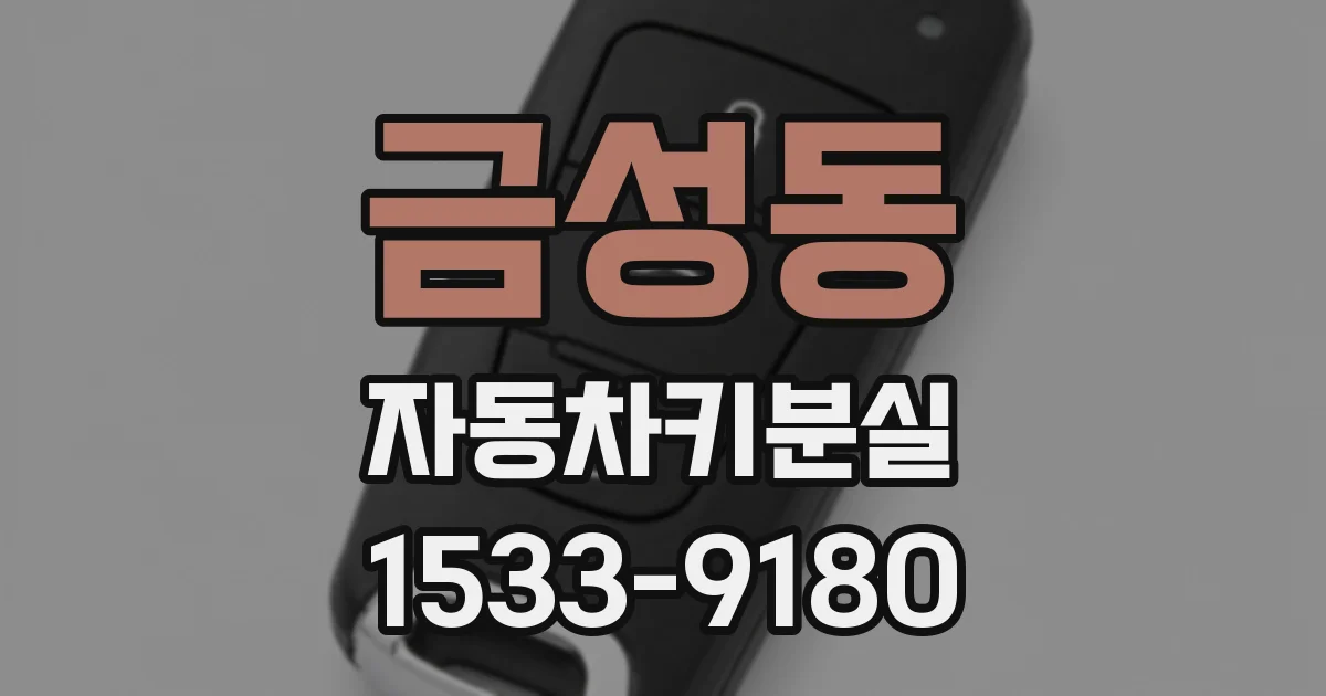 금성동 자동차키분실