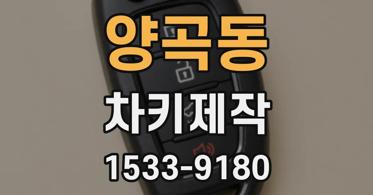 양곡동 차키제작