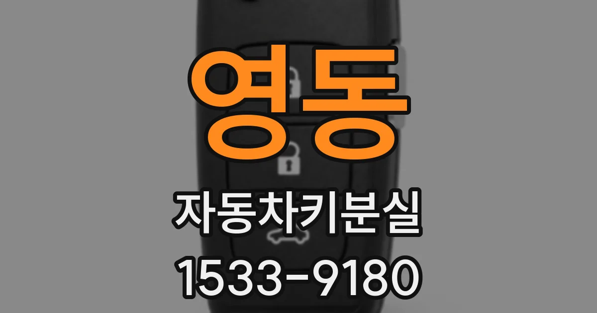 영동 자동차키분실