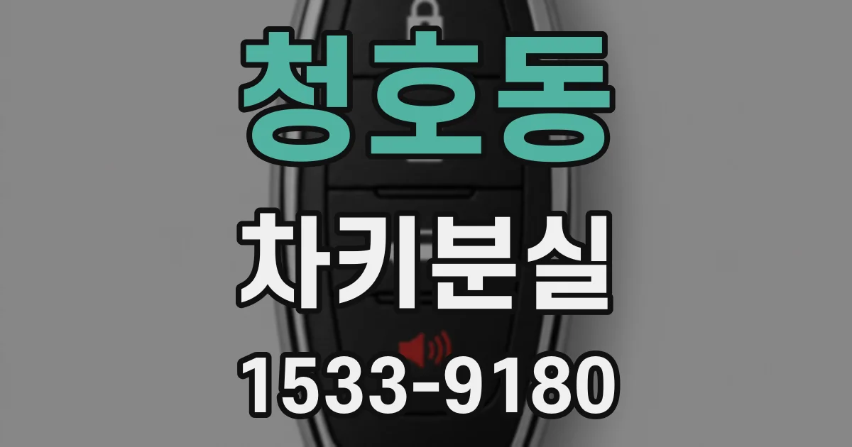 청호동 차키분실