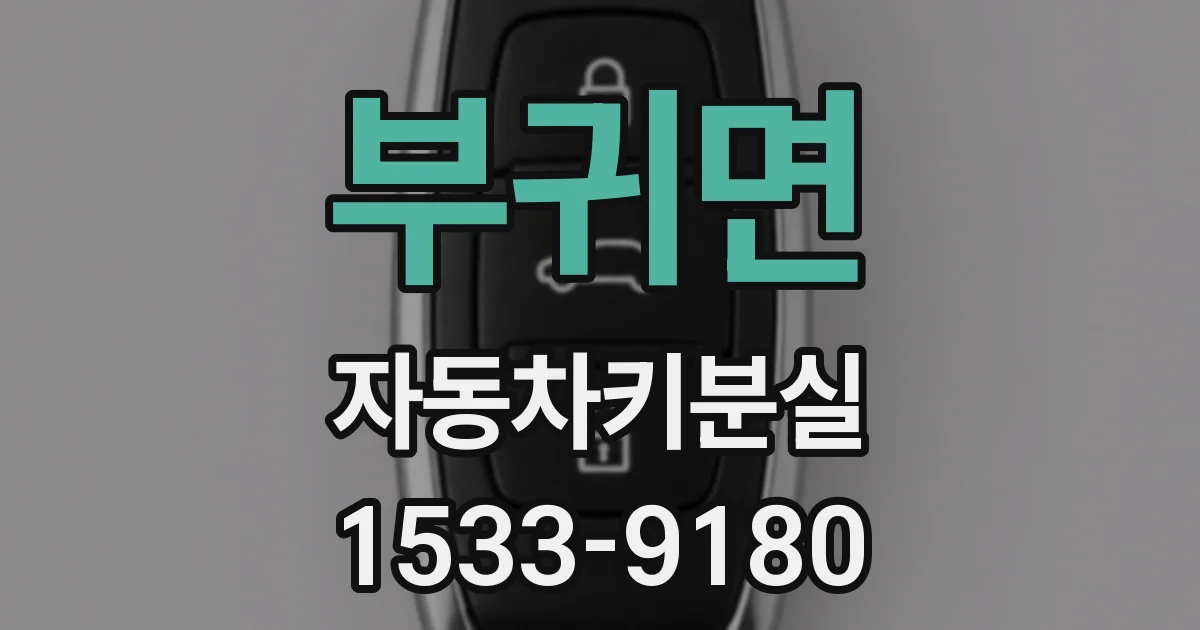 부귀면 자동차키분실