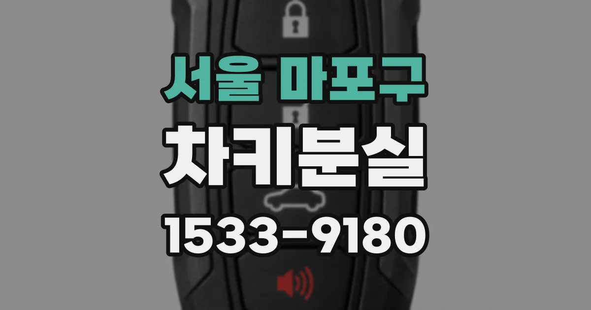 서울 마포구 차키분실
