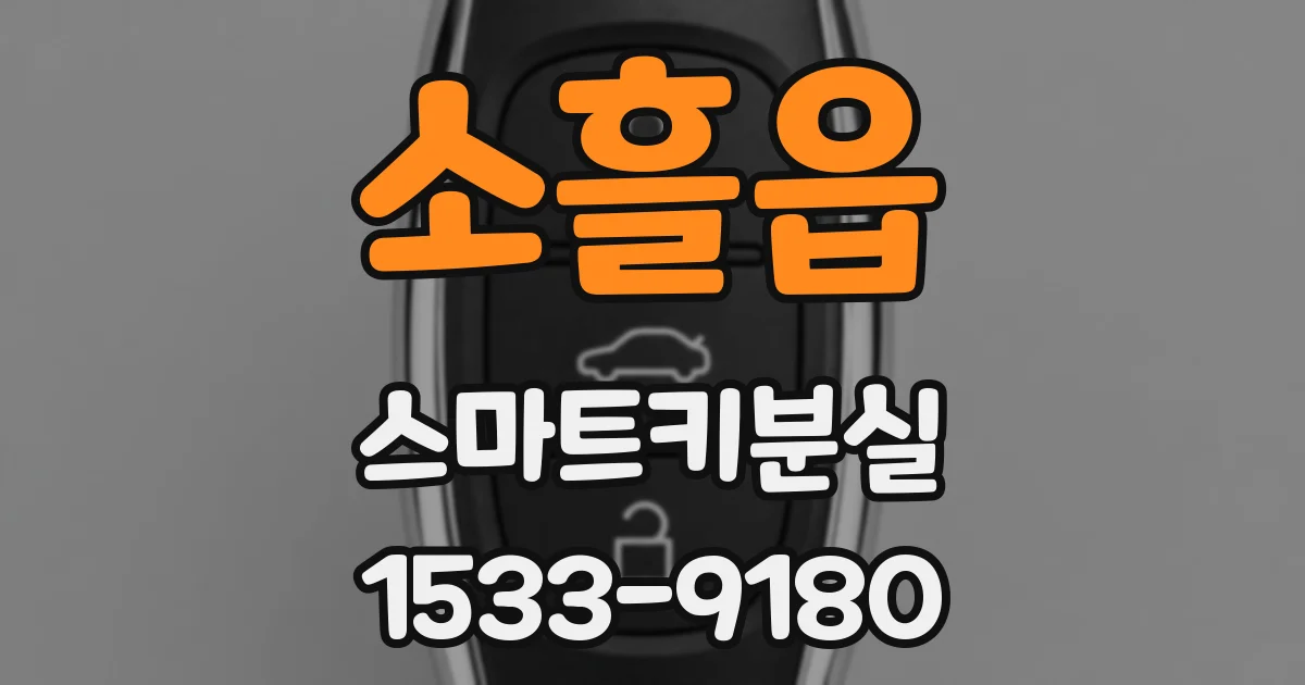 소흘읍 스마트키분실