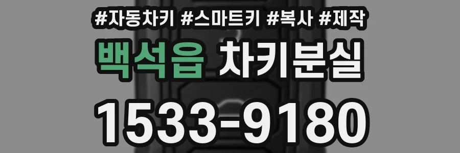 백석읍 차키분실