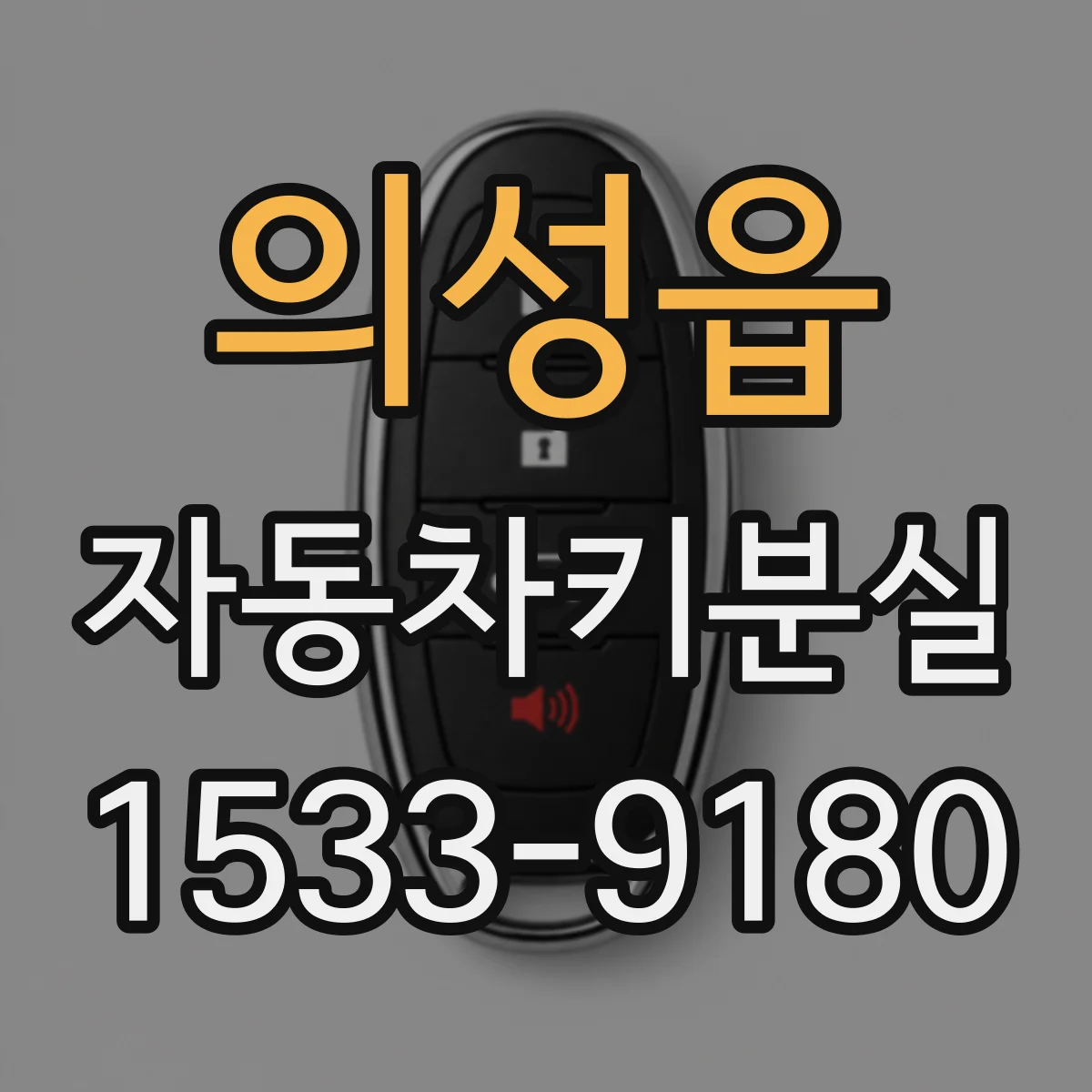 의성읍 자동차키분실