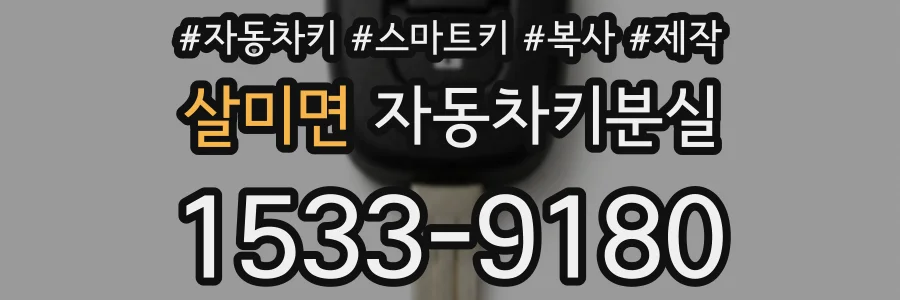 살미면 자동차키분실