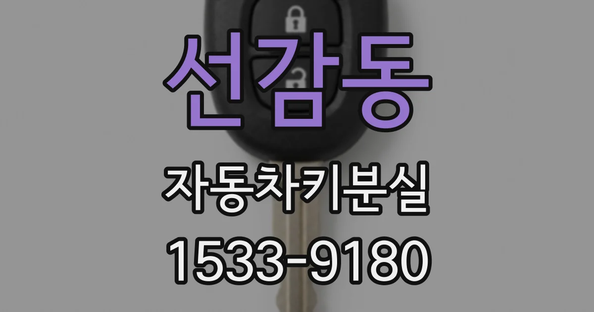 선감동 자동차키분실